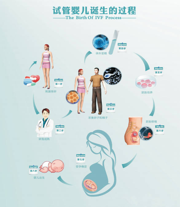 试管婴儿微刺激方案