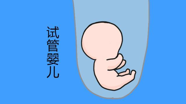 保定试管婴儿